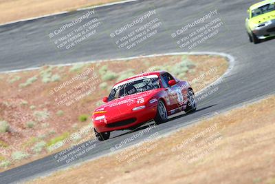 media/May-06-2023-Lucky Dog Racing (Sat) [[8f2256f436]]/Turn 2 10a/